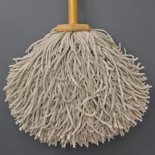 mop png