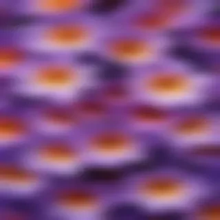 background flower purple