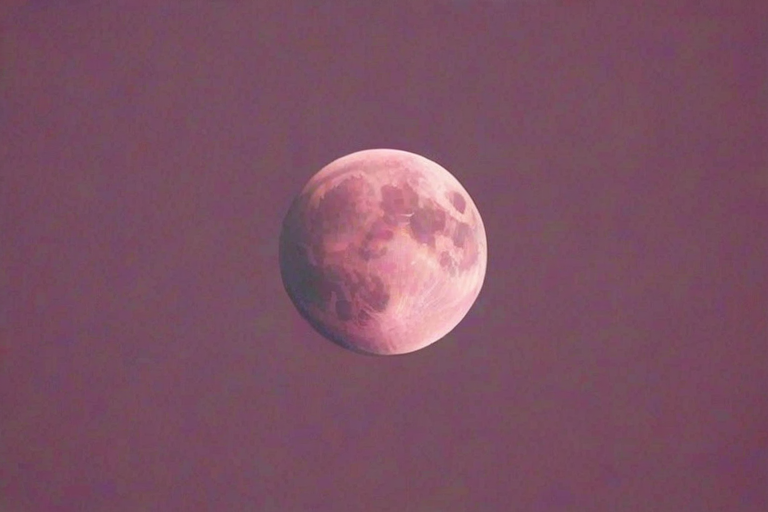pink moon wallpaper