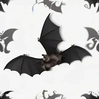 halloween bats png
