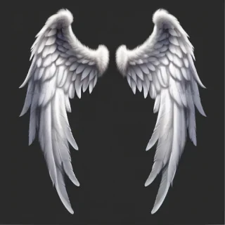 png angel wings