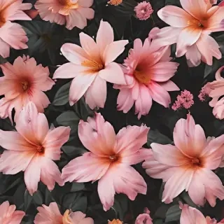 aesthetic backgrounds flowers