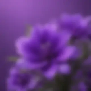 purple cute wallpaper