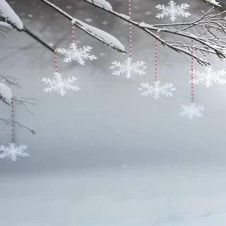 snow flakes