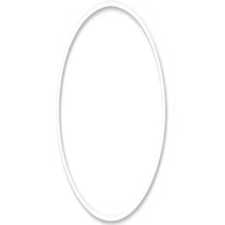 white circle png