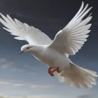 dove png