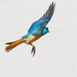 birds flying transparent background