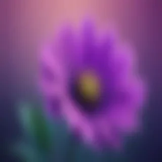 purple flower iphone wallpaper