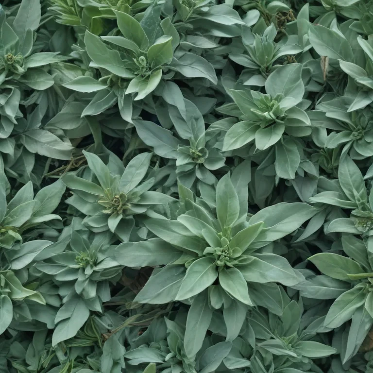sage green aesthetic background