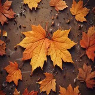 cute fall iphone wallpaper