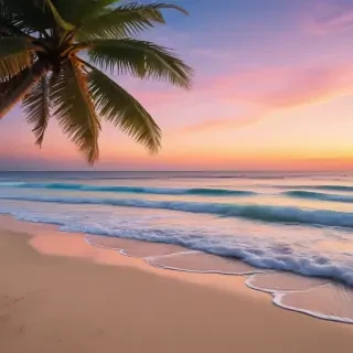 aesthetic beach backgrounds