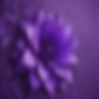 wallpaper purple cute