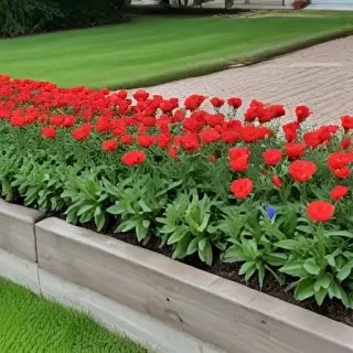 flower bed