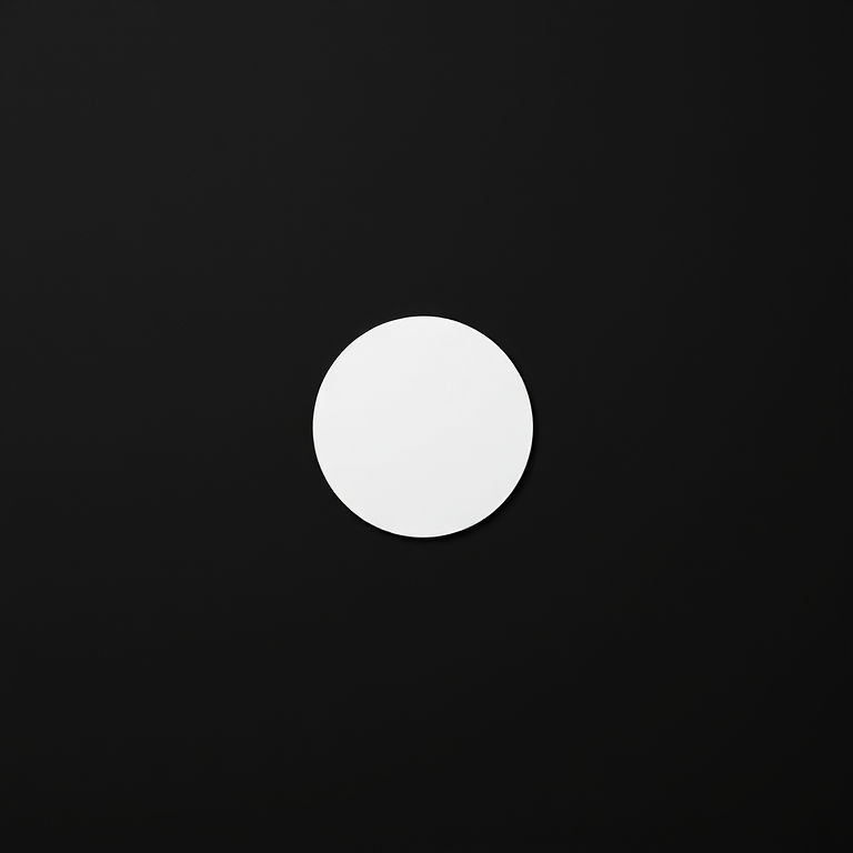 Create a minimalistic black background with a perfectly centered white circle, using a DSLR camera at f/2.8 aperture, ISO 100, 1/100s shutter speed, with a macro lens, in a top-down view to enhance image clarity and detail.