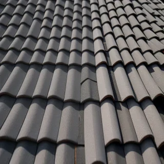 pictures of shingles