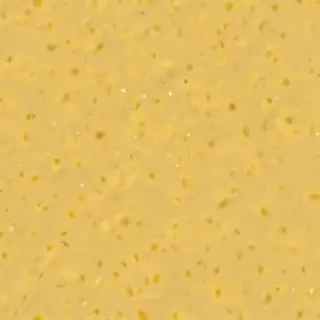 aesthetic yellow bg