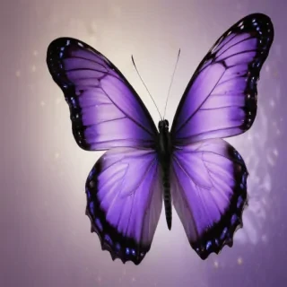 wallpaper purple butterfly