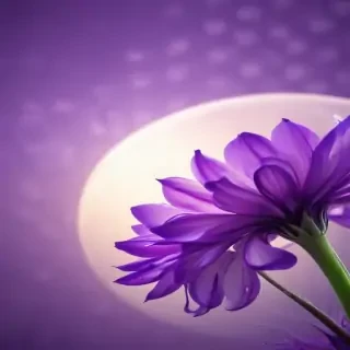 purple cute wallpaper