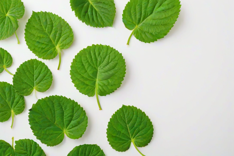 green on white background