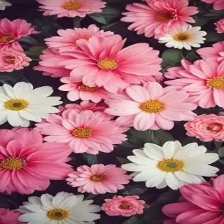 cute flower wallpaper