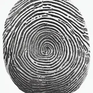 fingerprint png