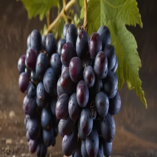 grapes png