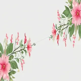 transparent floral border