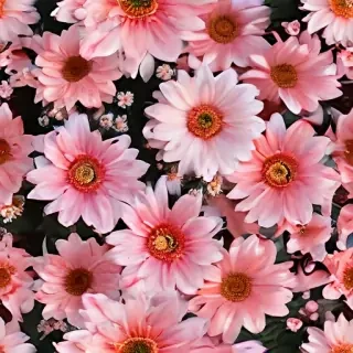 aesthetic flower pictures