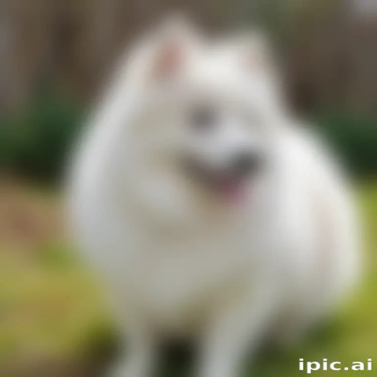 japanese spitz dog breed