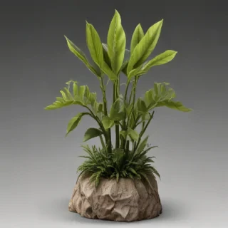 plant png clipart
