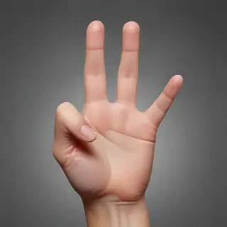 middle finger transparent