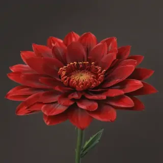 red flower png