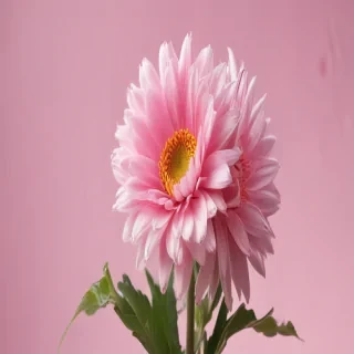 background pink cute