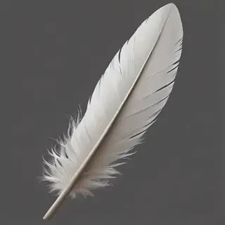 feather png