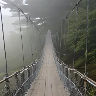suspension bridge