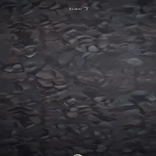 live wallpaper