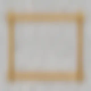 transparent border