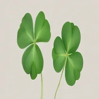 clover png