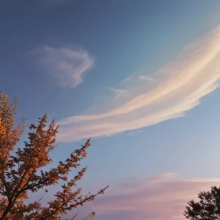 aesthetic ig story background