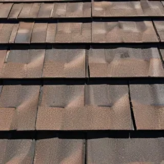 picture of shingles