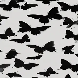black butterfly wallpaper