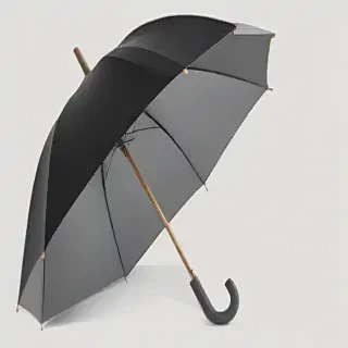 umbrella png