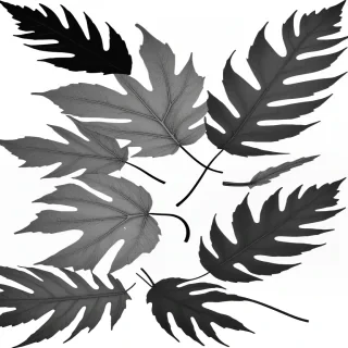 leaf clip art black and white