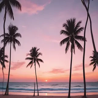aesthetic beachy backgrounds