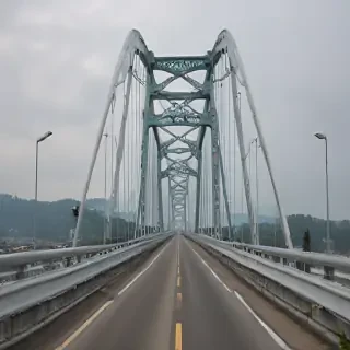 bikini bridge