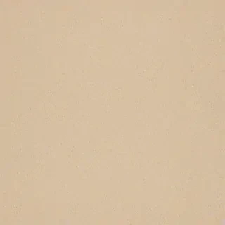 neutral computer background
