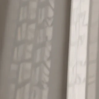 shadow wallpaper