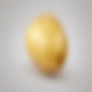 potato transparent