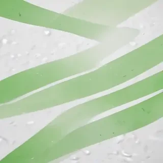 background white and green