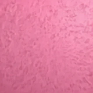 pink blank background